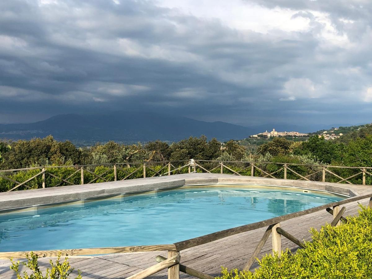 Agriturismo La Montagnola Torgiano Dış mekan fotoğraf