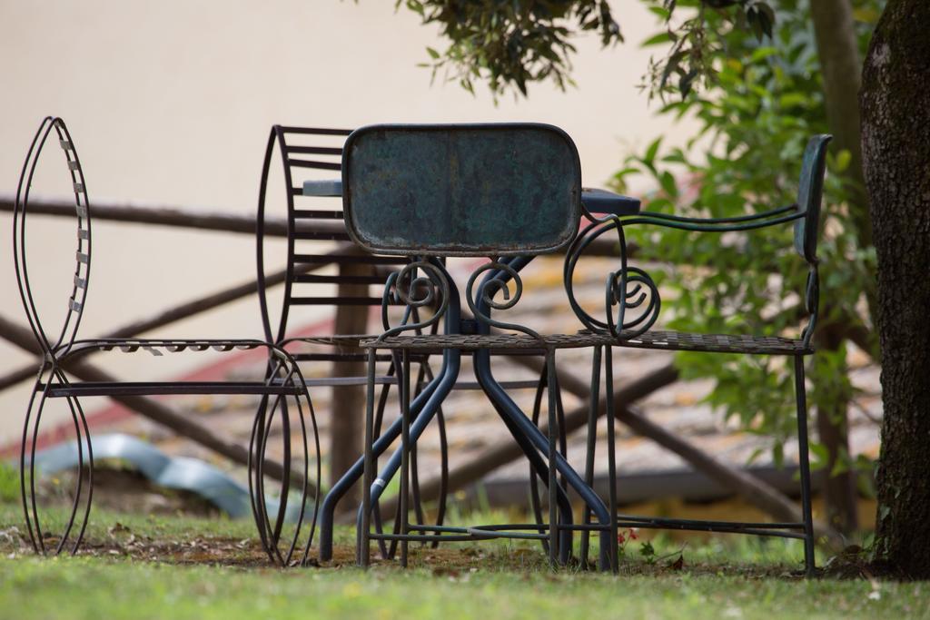 Agriturismo La Montagnola Torgiano Dış mekan fotoğraf